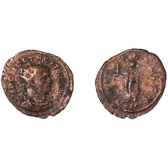 Moneda Imperio Romano Antoniniano Tácito 275 d.C. Moneda Imperio Romano Antoniniano Tácito 275 d.C.