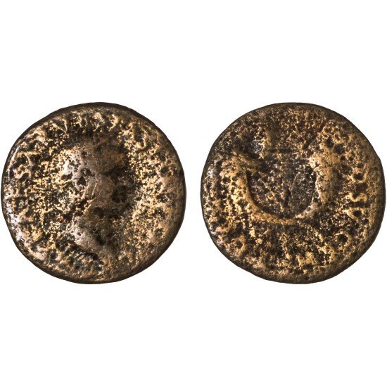 Moneda Imperio Romano Dupondio Vespasiano 74 d.C. Moneda Imperio Romano Dupondio Vespasiano 74 d.C.