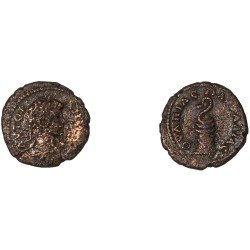 Moneda Imperio Romano Assarion Caracalla 198-205 d.C. Moneda Imperio Romano Assarion Caracalla 198-205 d.C.
