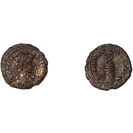 Moneda Imperio Romano Assarion Caracalla 198-205 d.C. Moneda Imperio Romano Assarion Caracalla 198-205 d.C.