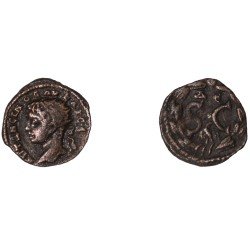 Moneda Imperio Romano Assarion Elagábalo 218-222 d.C. Moneda Imperio Romano Assarion Elagábalo 218-222 d.C.