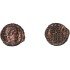 Moneda Imperio Romano Centenional Constantino I 325-326 d.C.