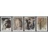 China 3180/83 1993 Tesoros del pasado Esculturas de las cuevas de Longmen MNH
