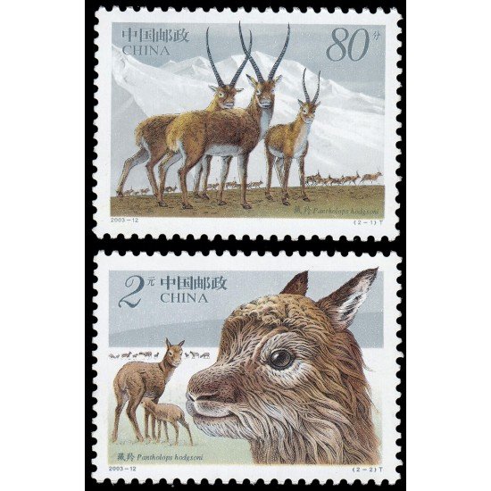 China 4093/94 2003 Fauna salvaje Antílope tibetano MNH China 4093/94 2003 Fauna salvaje Antílope tibetano MNH