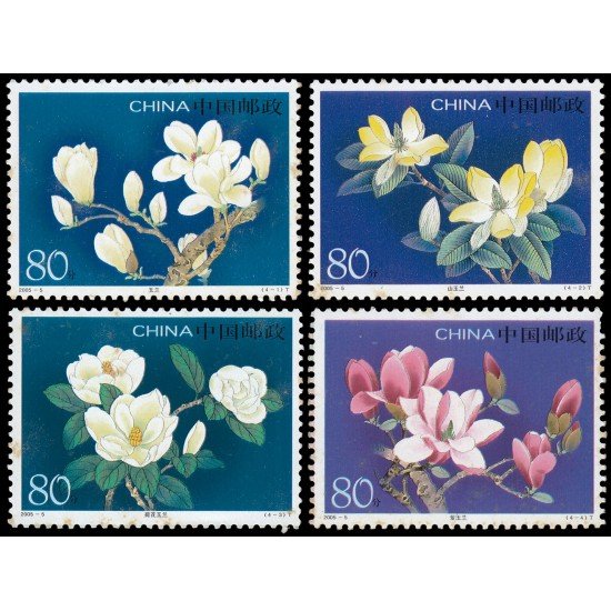 China 4249/52 2005 Flora Flores Magnolias MNH China 4249/52 2005 Flora Flores Magnolias MNH