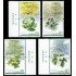China 4348/51 2006 Árboles muy viejos MNH