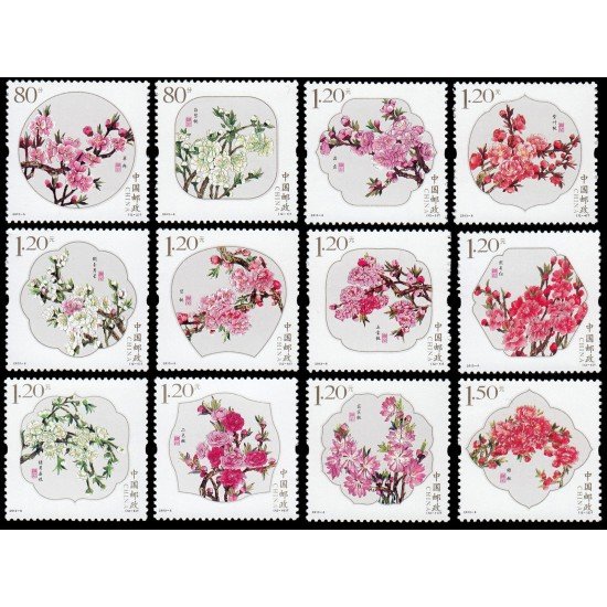 China 4994/05 2013 Flora Flores MNH China 4994/05 2013 Flora Flores MNH
