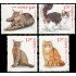 China 5054/57 2013 Fauna Gatos MNH