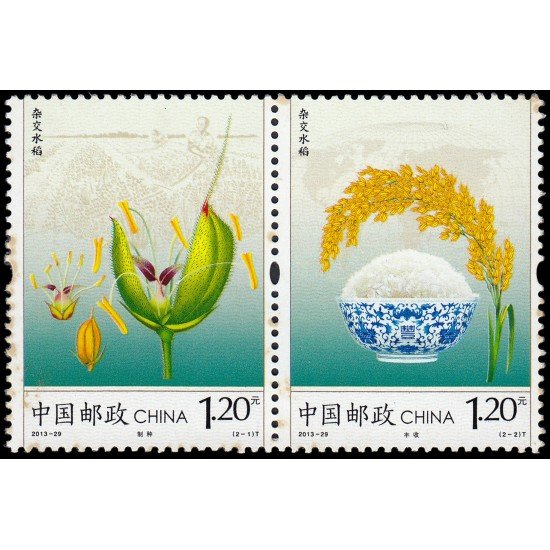 China 5092/93 2013 Agricultura Arroz híbrido MNH China 5092/93 2013 Agricultura Arroz híbrido MNH