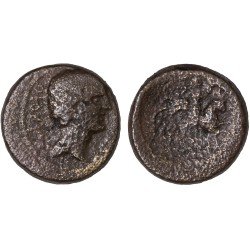 Moneda Imperio Romano Assarion Augusto 27 a.C. – 14 d.C. Moneda Imperio Romano Assarion Augusto 27 a.C. – 14 d.C.