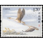 China 5562 2018 Fauna Aves Ganso salvaje MNH China 5562 2018 Fauna Aves Ganso salvaje MNH
