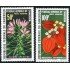FL1/S Camerún Cameroon  Nº A 155/56  1970  Flora Plantas Lujo