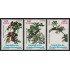 Guinea Ecuatorial 418/20 2009 Plantas medicinales MNH