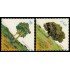 España Spain 3717/18  2000 Árboles MNH