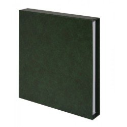 Lindner 810BY-G Tapa de anillas Standard de 18 anillas. VERDE. 305 x 317 mm . Estuche Lindner 810BY-G Tapa de anillas Standard de 18 anillas. VERDE. 305 x 317 mm . Estuche