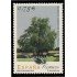España Spain 4149 2005 Árboles Monumentales MNH