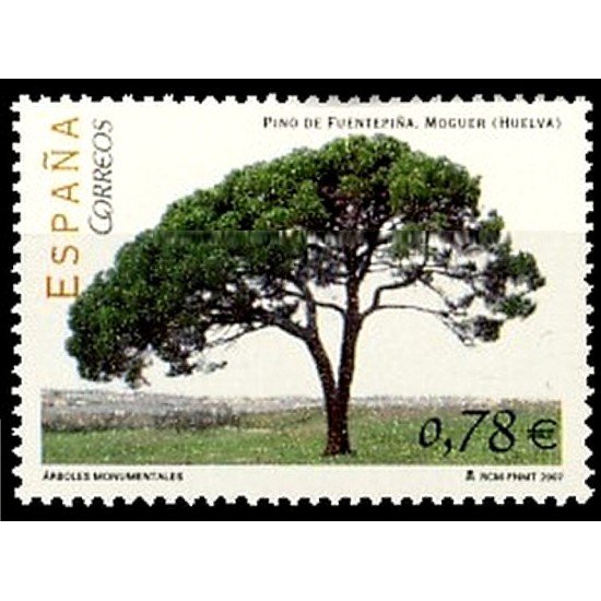 España Spain 4316 2007 Árboles Monumentales MNH España Spain 4316 2007 Árboles Monumentales MNH