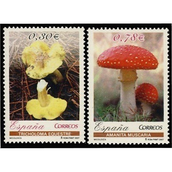 España Spain 4337/38 2007 Setas Micología MNH España Spain 4337/38 2007 Setas Micología MNH