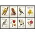 España Spain 4376/83 2008 Flora y Fauna MNH