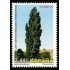 España Spain 4390 2008 Árboles Monumentales MNH