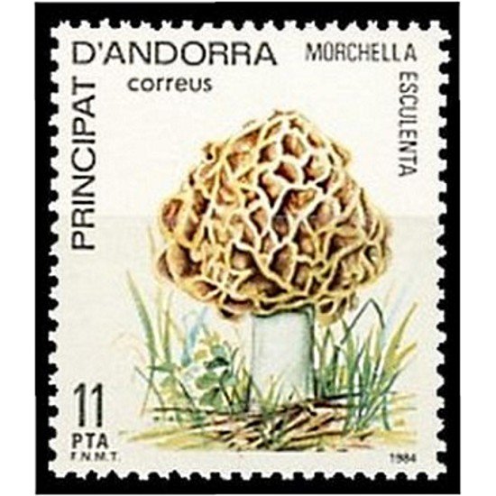 Andorra Española 181 1984  Naturaleza MNH