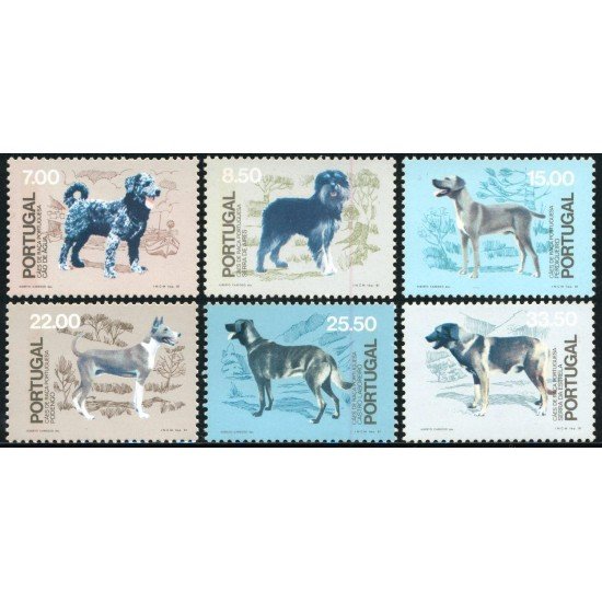 FAU4/S Portugal  Nº 1500/05  1981  Perros de raza portuguesa Lujo