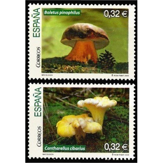 España Spain 4517/18 2009 Micología MNH España Spain 4517/18 2009 Micología MNH