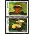 España Spain 4517/18 2009 Micología MNH