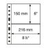 Leuchtturm hojas de plástico GRANDE, con 2 Bandas horizontales, transparentes