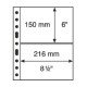 Leuchtturm hojas de plástico GRANDE, con 2 Bandas horizontales, transparentes
