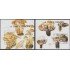 Santo Tomás y Príncipe HB 107/08 1991 Flora Chanpiñón Mushroom MNH