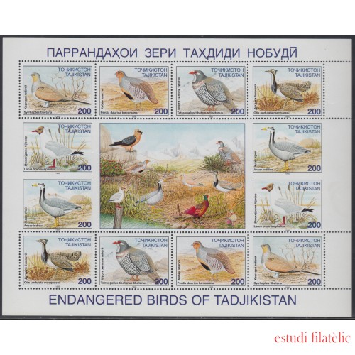 Tadjikistan HB 75/80a 1996 Fauna Pájaros Birds MNH 