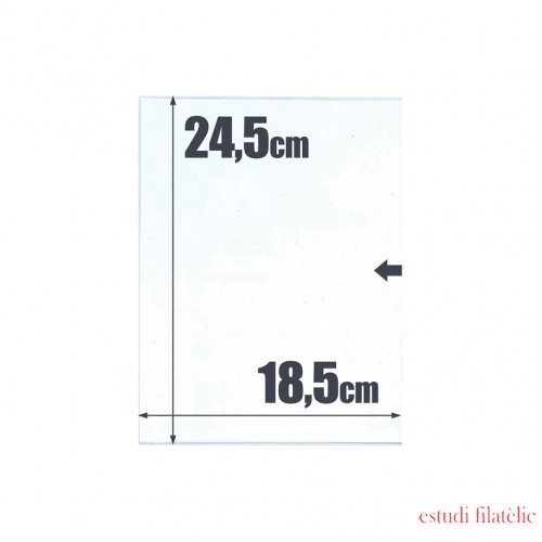 500 bolsas de cristal  24,5 x 18,5  Safi 010531