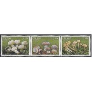 España Spain 4822/24 2013 Micología Setas Mushrooms MNH