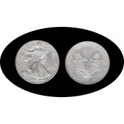 Estados unidos United States Onza de plata 1 $ 2001 Liberty