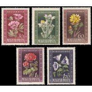 FL3 Hungría Hungary 963/67 1950 Flores diversas MNH
