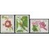 Brasil Brazil 1804/06 1986 Protección de la Flora Flor Flower  MNH