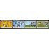 DEP5  Samoa 322/25 1974 MNH