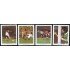 DEP6 Argentina SH 24 1980 400º Años de la fundación de la Villa de Buenos Aires MNH
