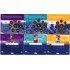 Monedas Euros Holanda Cartera 1999 – 2000 - 2001