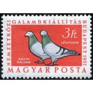 FAU2  Hungría Hungary A 197 Exposición internacional de colombofilia en Budapest MNH
