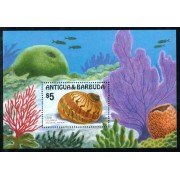 FAU3 Antigua y barbuda   HB 112 fauna marina  MNH