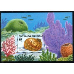 FAU3 Antigua y barbuda   HB 112 fauna marina  MNH