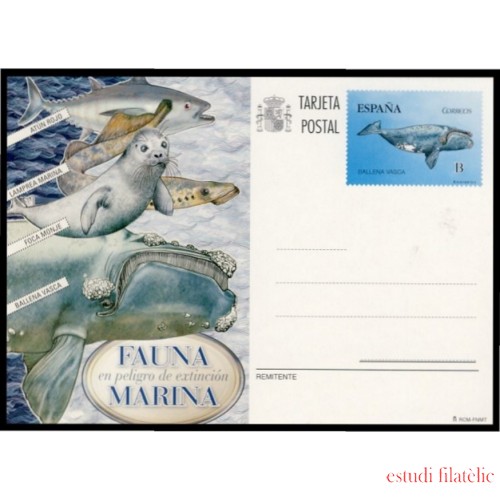 España Spain Entero Postal ( tarjeta ) 193 2013 Fauna Marina peligro extinción Ballena vasca whale