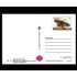España Tarjetas del Correo y de Iniciativa Privada 88 2010 Arquitectura postal Mariposa Butterfly