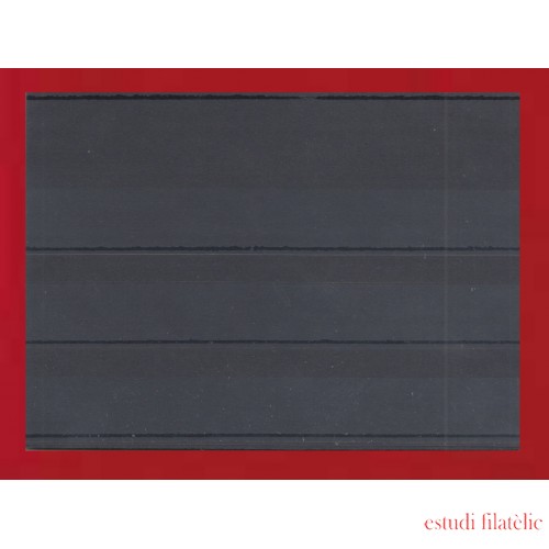 Caja 100 Fichas negras,  3 bandas  158 x 113 mm con tapa 