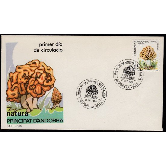 Andorra Española 181 1984 Naturaleza SPD Sobre Primer día Andorra Española 181 1984 Naturaleza SPD Sobre Primer día