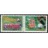 Ecuador 1669/70 2002 Club Deportivo Cuenca Fútbol Football MNH