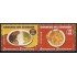 Ecuador 1933/34 2006 Gastronomía Ecuatoriana MNH
