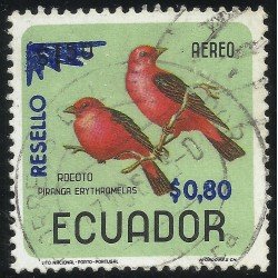Ecuador A- 490 1967 Aéreo Pájaro Bird Fauna Rocoto Piranga Usado Ecuador A- 490 1967 Aéreo Pájaro Bird Fauna Rocoto Piranga Usado